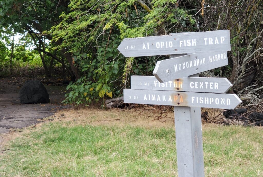 Aiopio Beach & Fish Trap