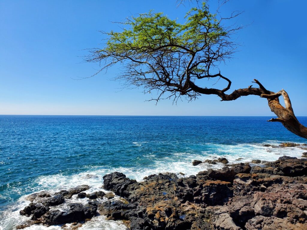 Kaiholena (Sapphire Cove)