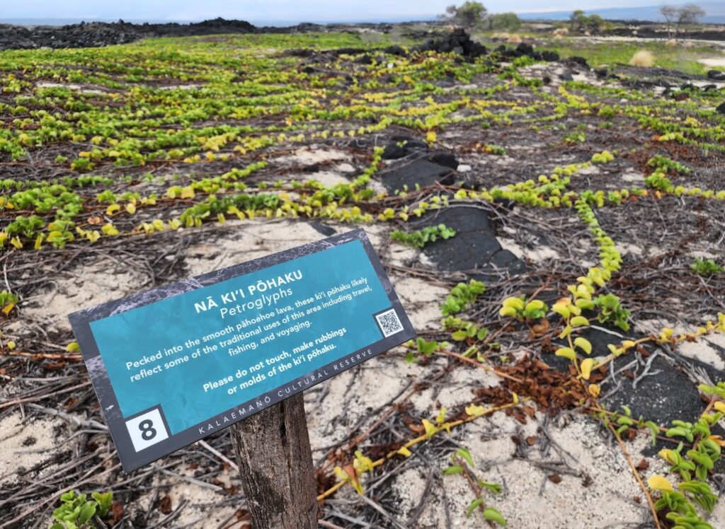 Kalaemano Cultural Reserve Shoreline