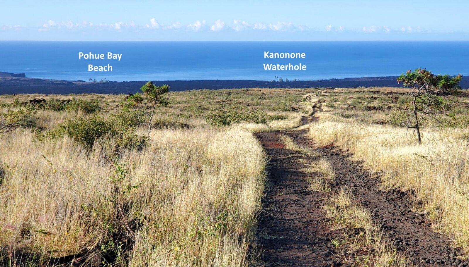 Pohue Bay Beach