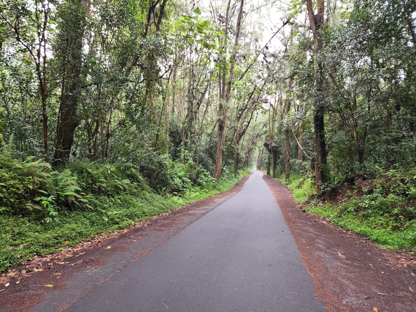 Mermaid Pools & Goddess Pond