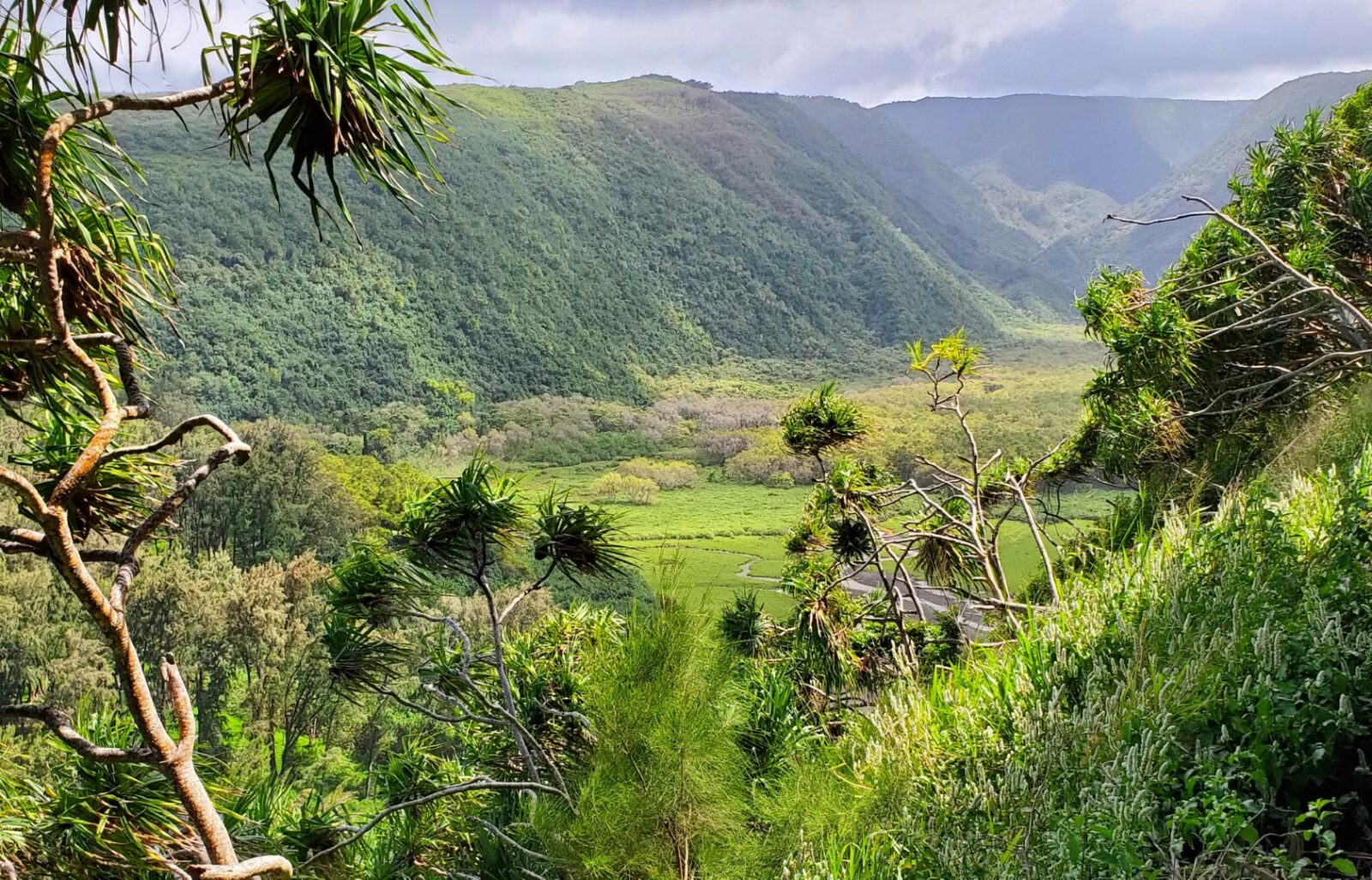 Pololu Beach & Lookout