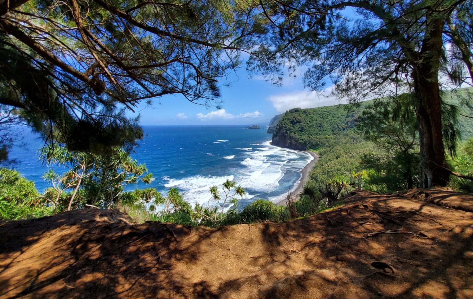 Pololu Valley Lookout