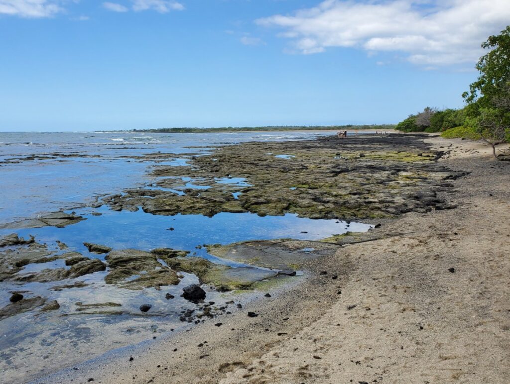 Aiopio Beach & Fish Trap