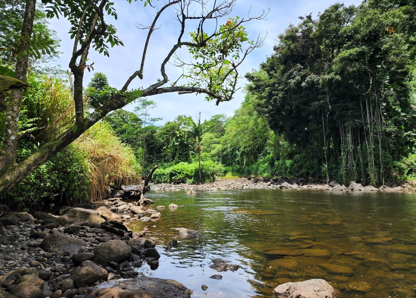 Hakalau Beach Park