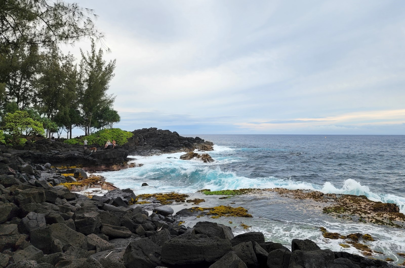 Hawaiian Paradise Park Shoreline Access