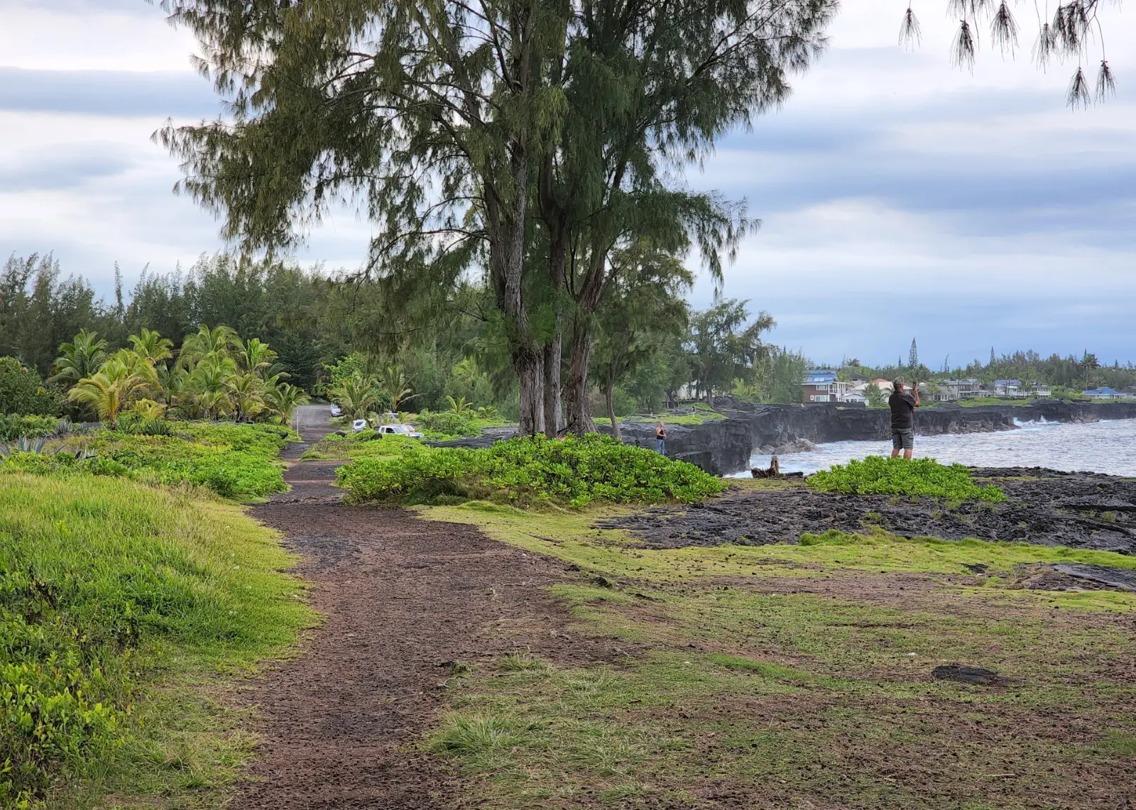 Hawaiian Paradise Park Shoreline Access