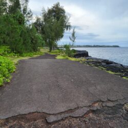 Hawaiian Paradise Park: A Work in Progress 
