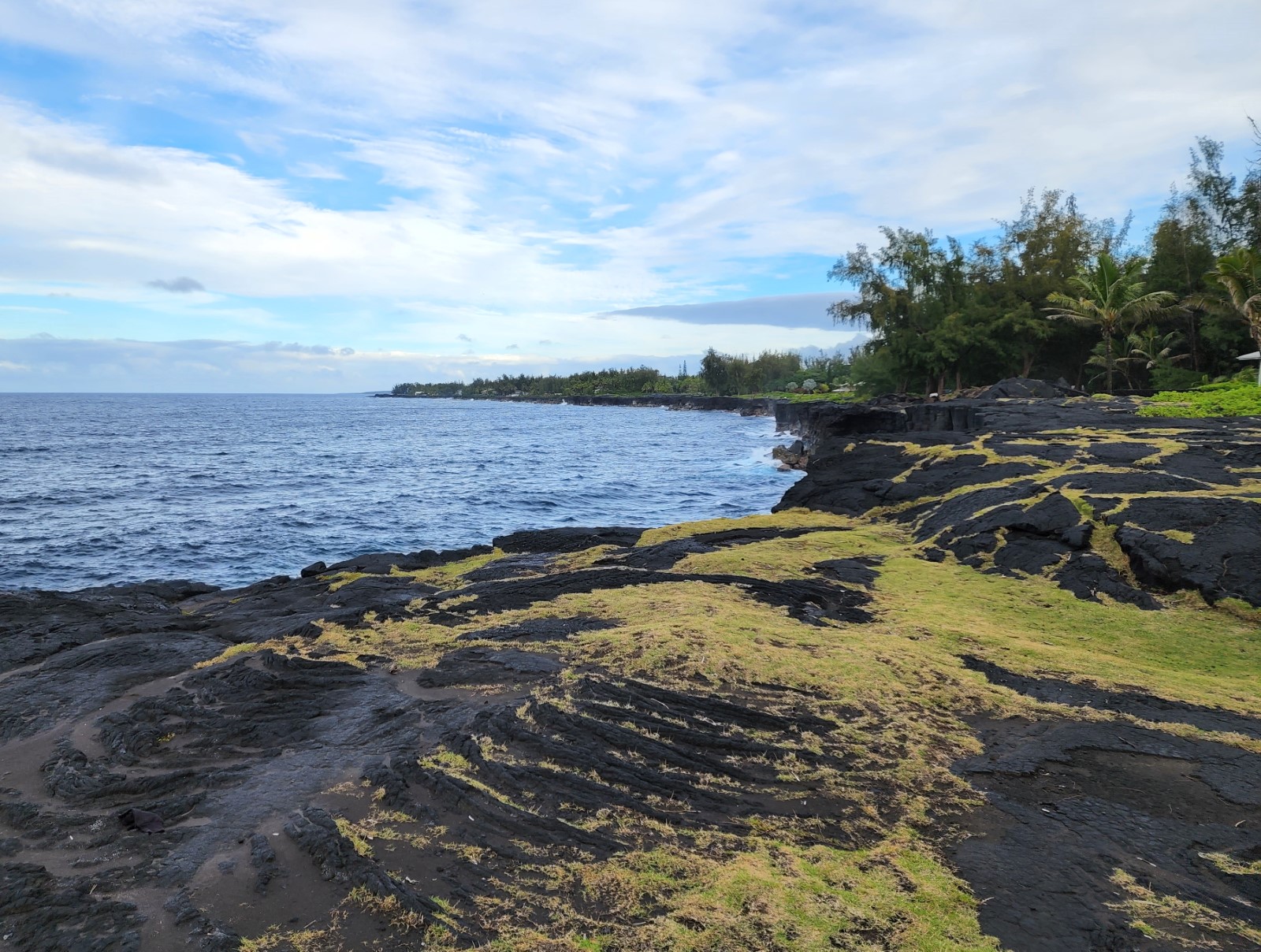 Hawaiian Paradise Park Shoreline Access
