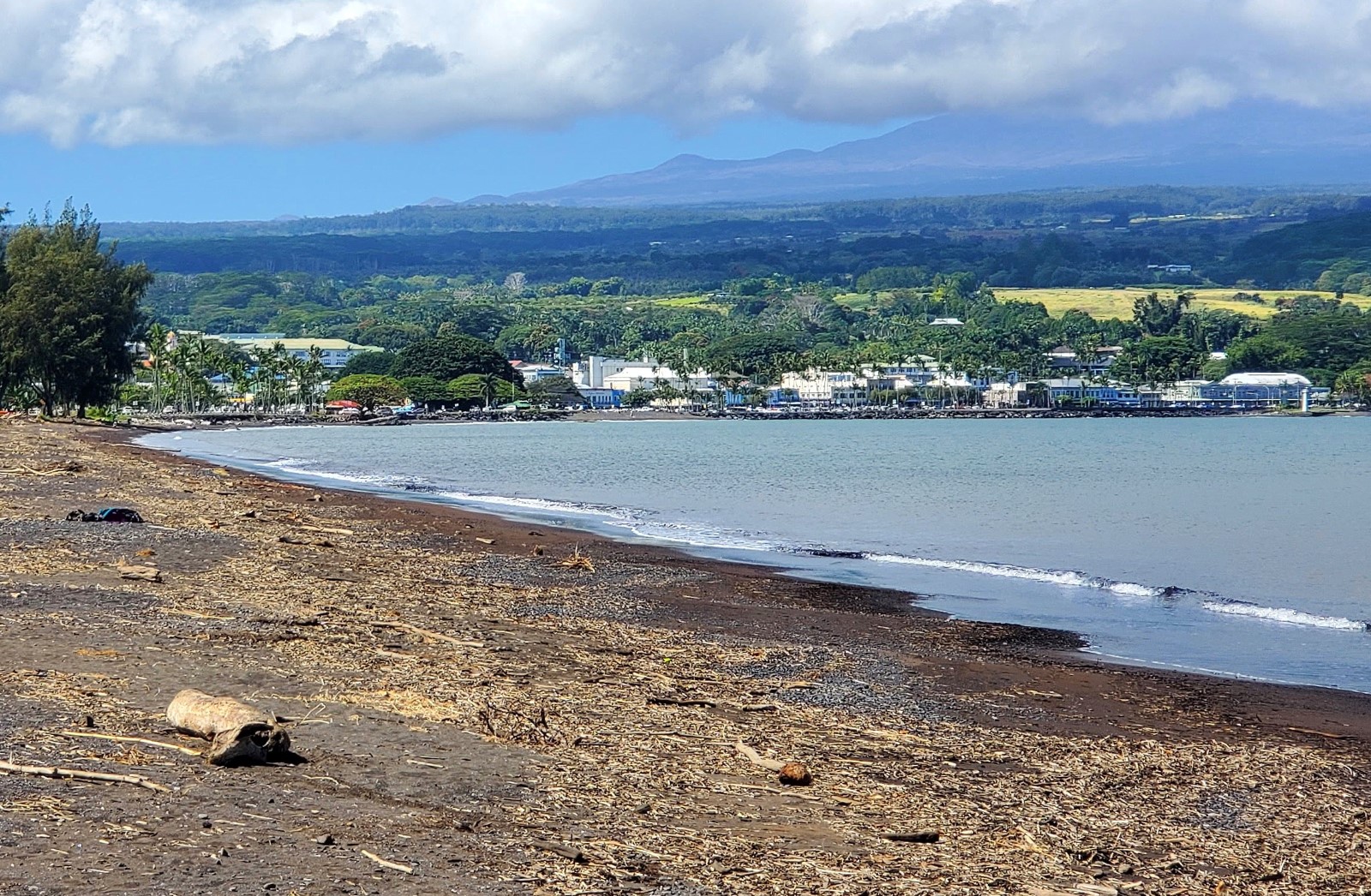 Hilo Bayfront Beach