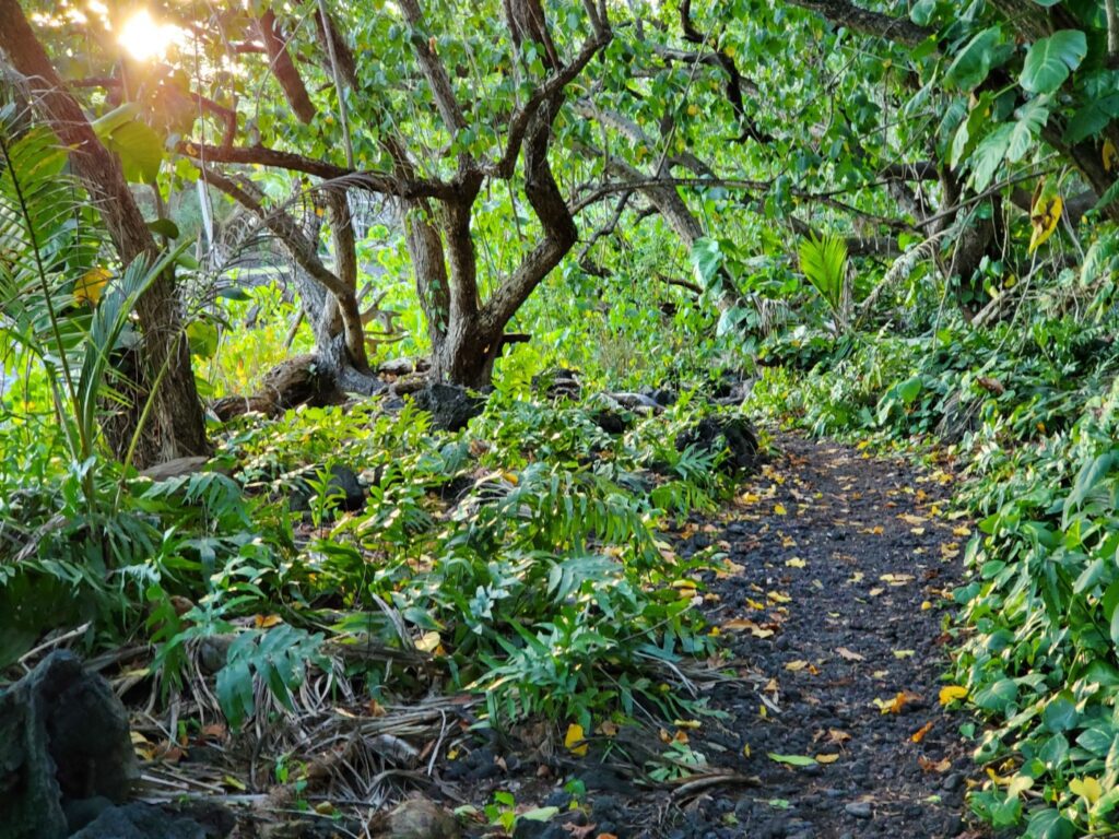 Isaac Hale Beach Park (Pohoiki Beach)