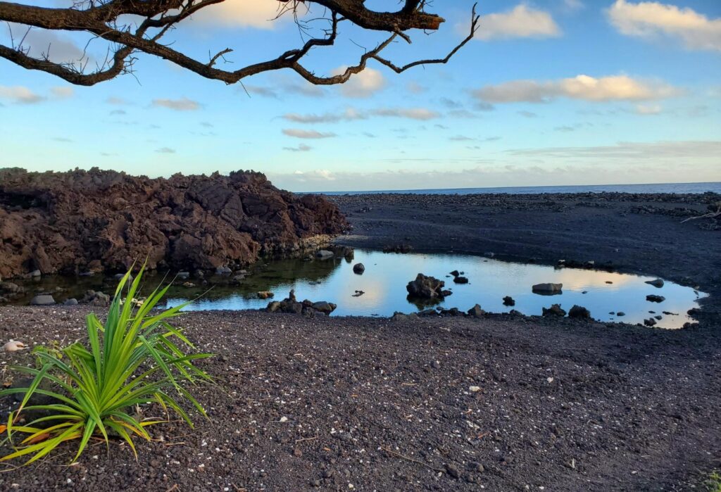 Isaac Hale Beach Park (Pohoiki Beach)