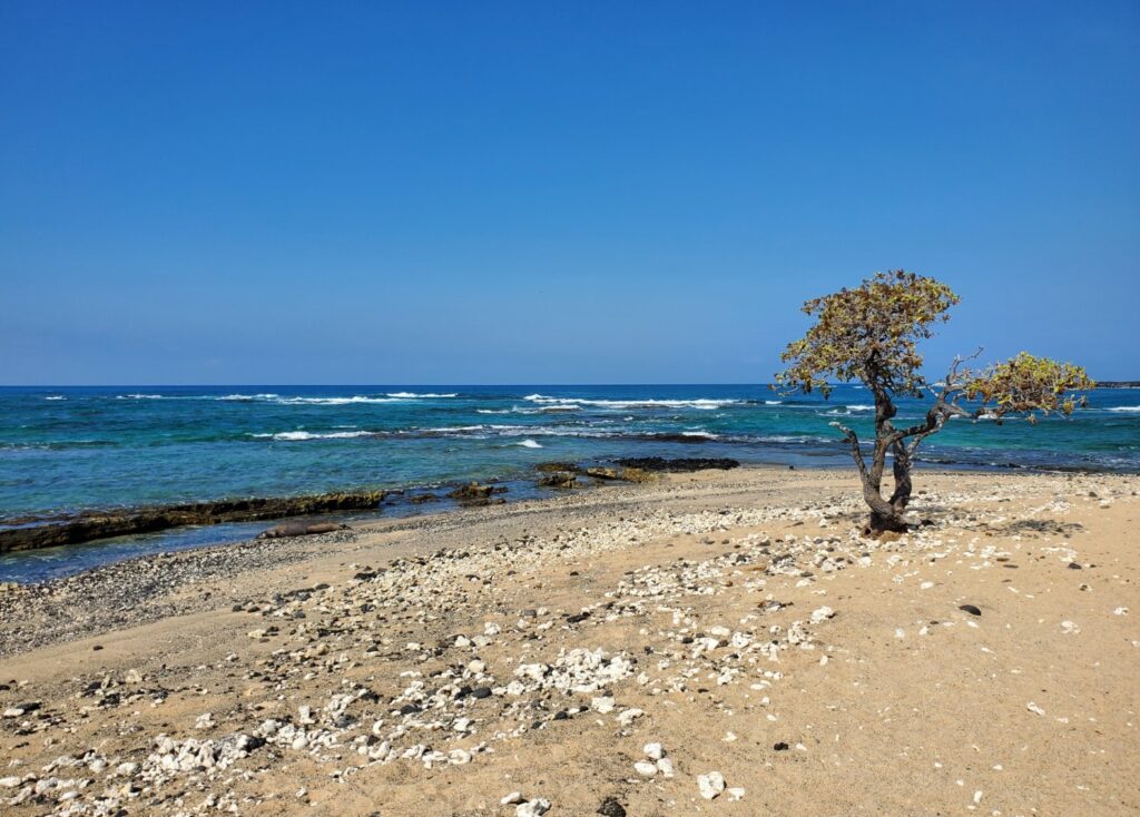 Kaelehuluhulu Beach