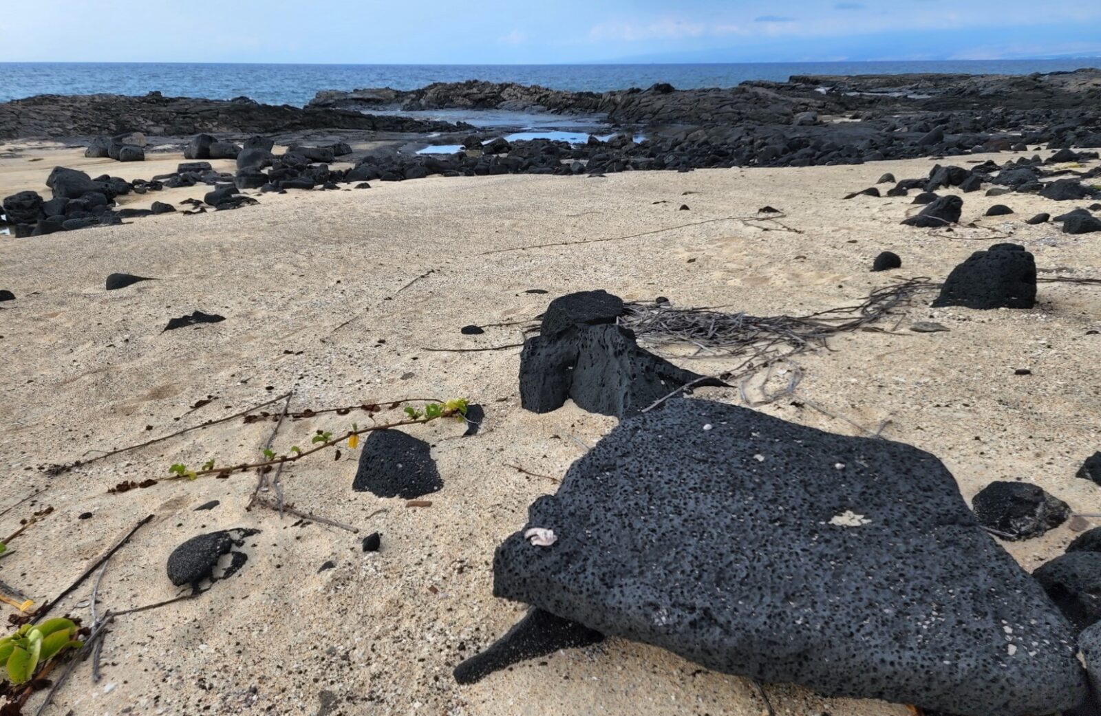 Kalaemano Cultural Reserve Shoreline