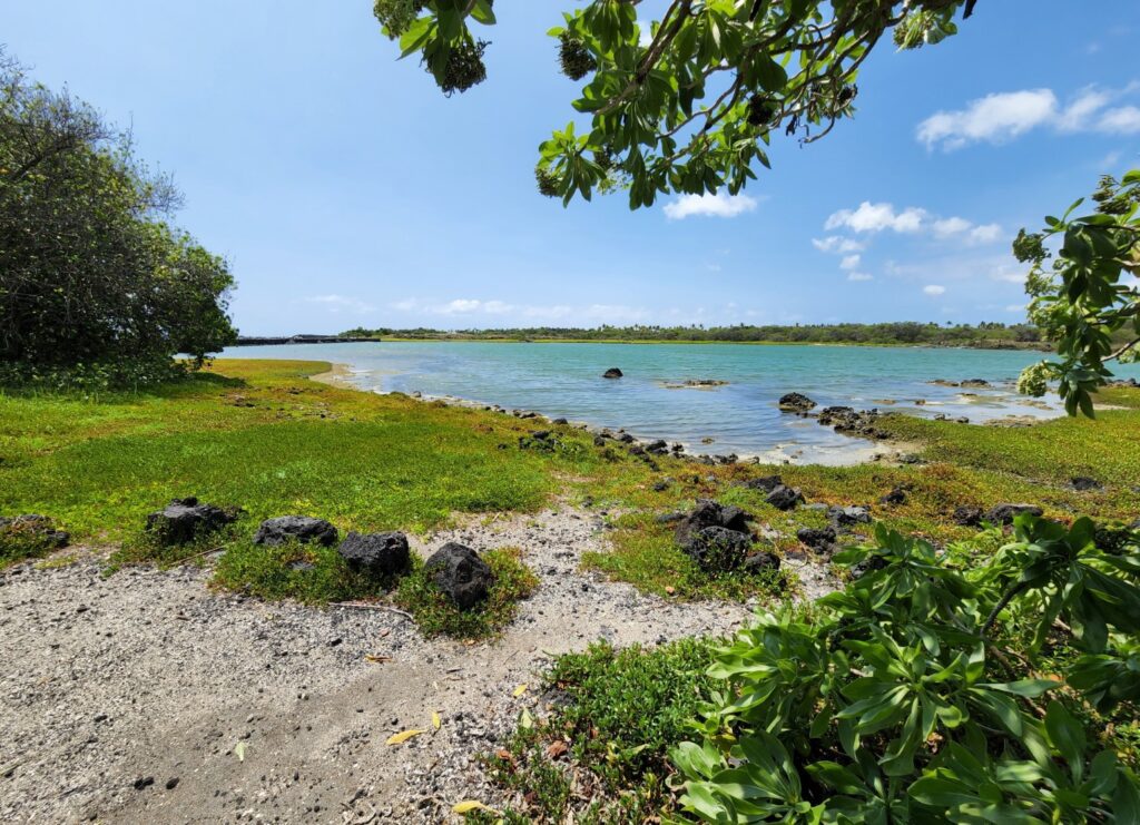 Kaloko Fishpond