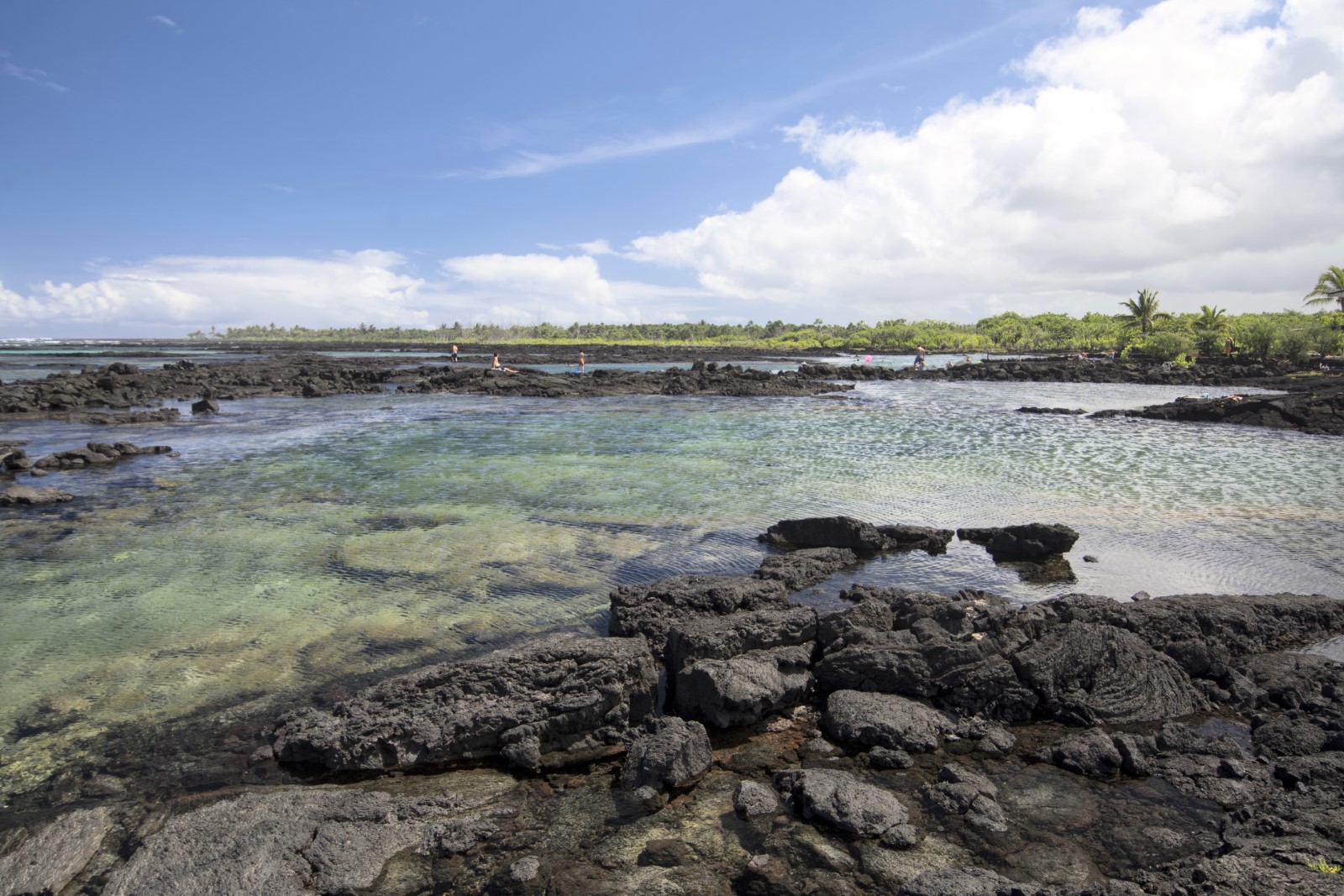 Waiopae Kapoho Tide Pools (Lost Forever)