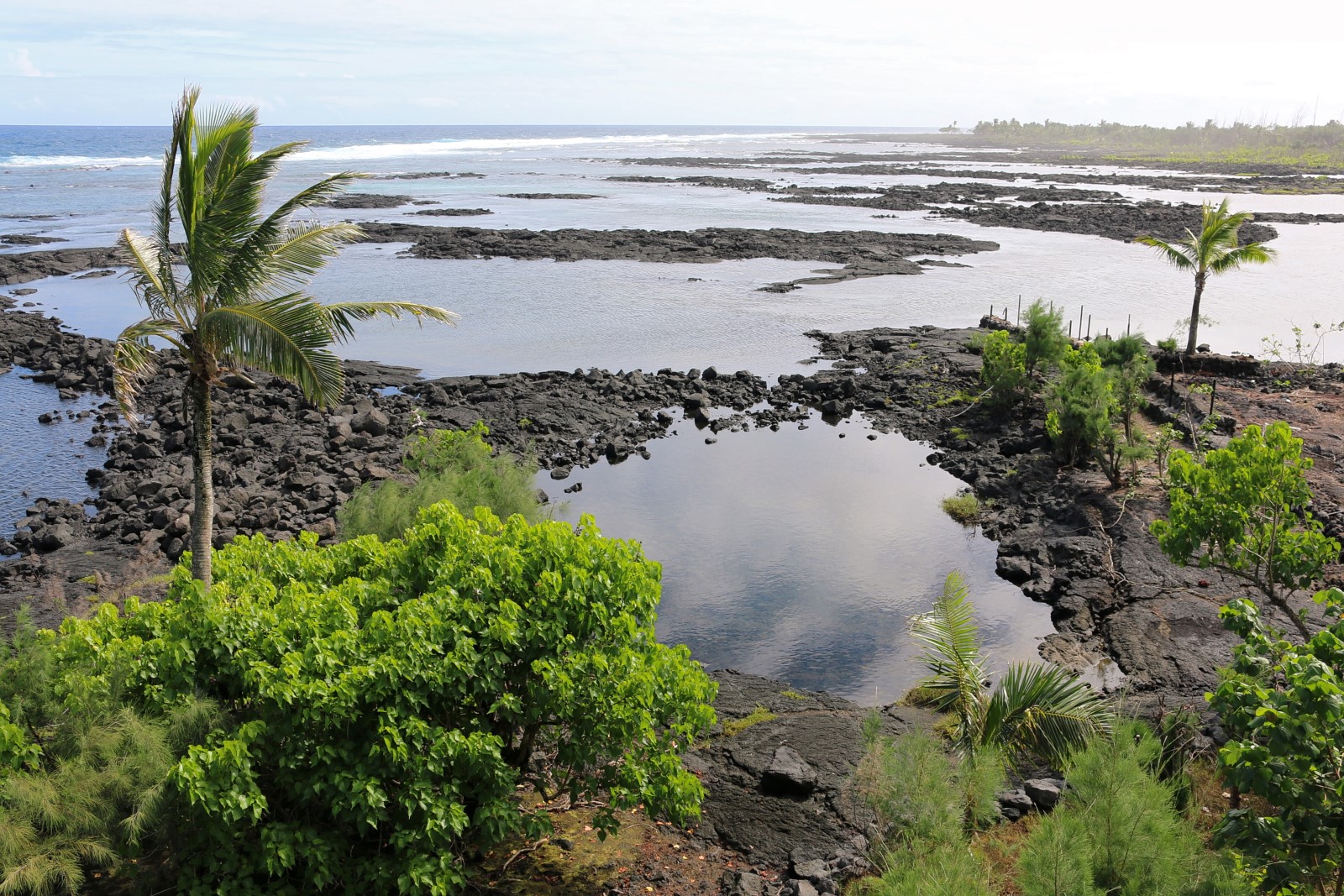 Waiopae Kapoho Tide Pools (Lost Forever)