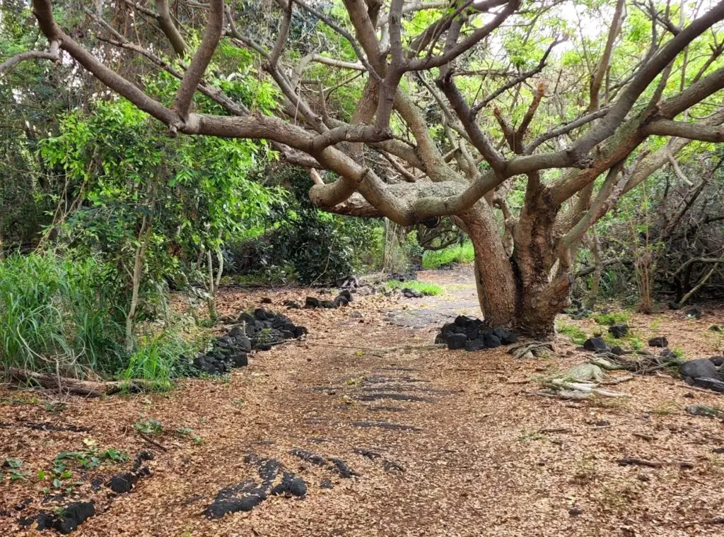 Kawa Bay Beach