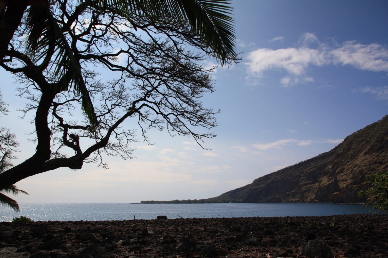 Kealakekua Bay State Historical Park (Napo’opo’o Beach)