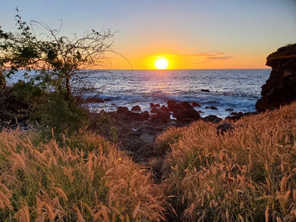 Kohala Kai Shoreline Access