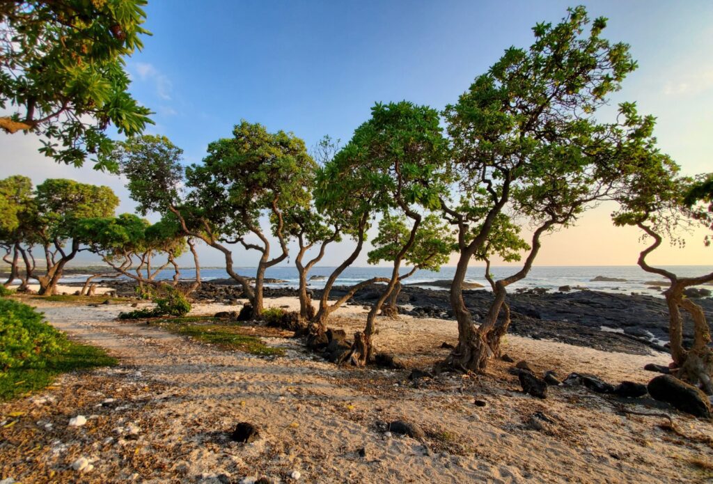 Kohanaiki Beach Park (Pine Trees Surfing Beach)