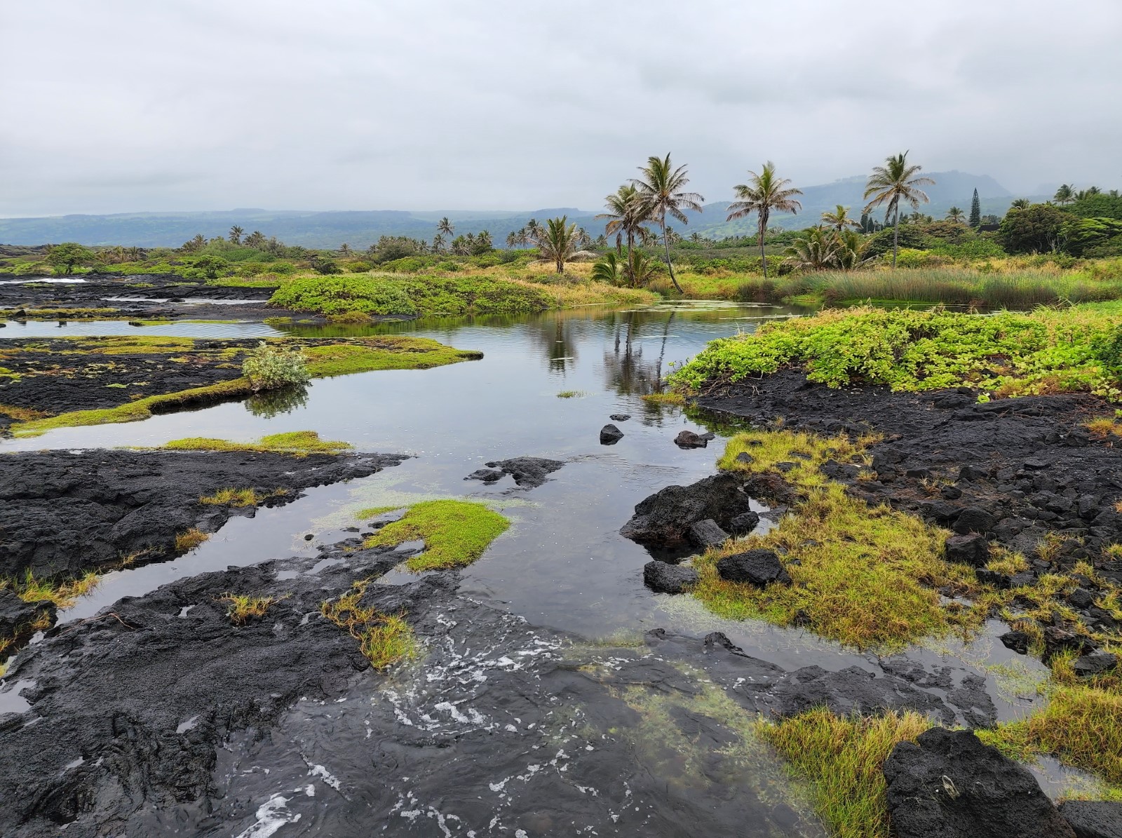 Koloa Beach