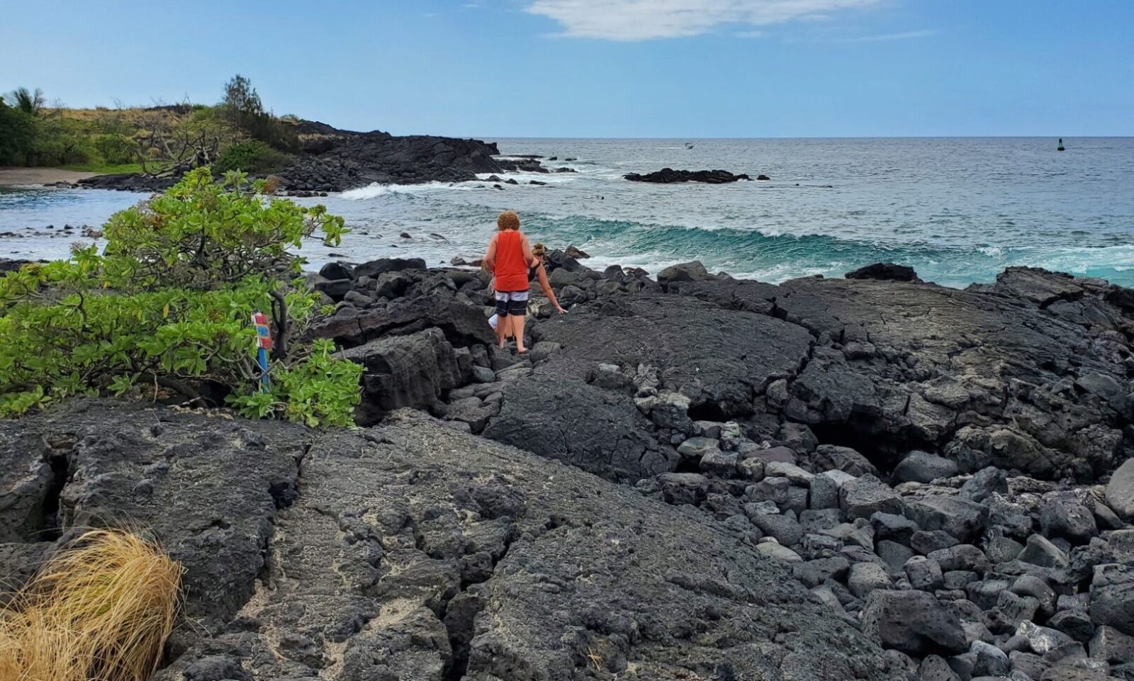 Alula Beach (Kona Dog Beach)