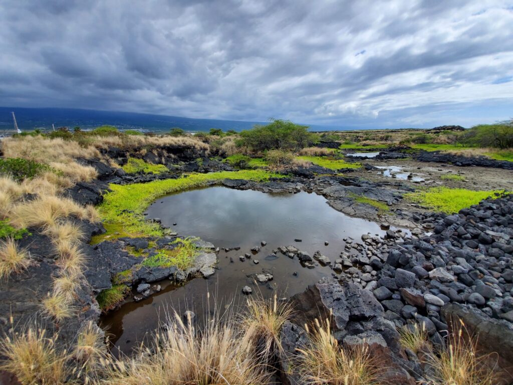 Alula Beach (Kona Dog Beach)