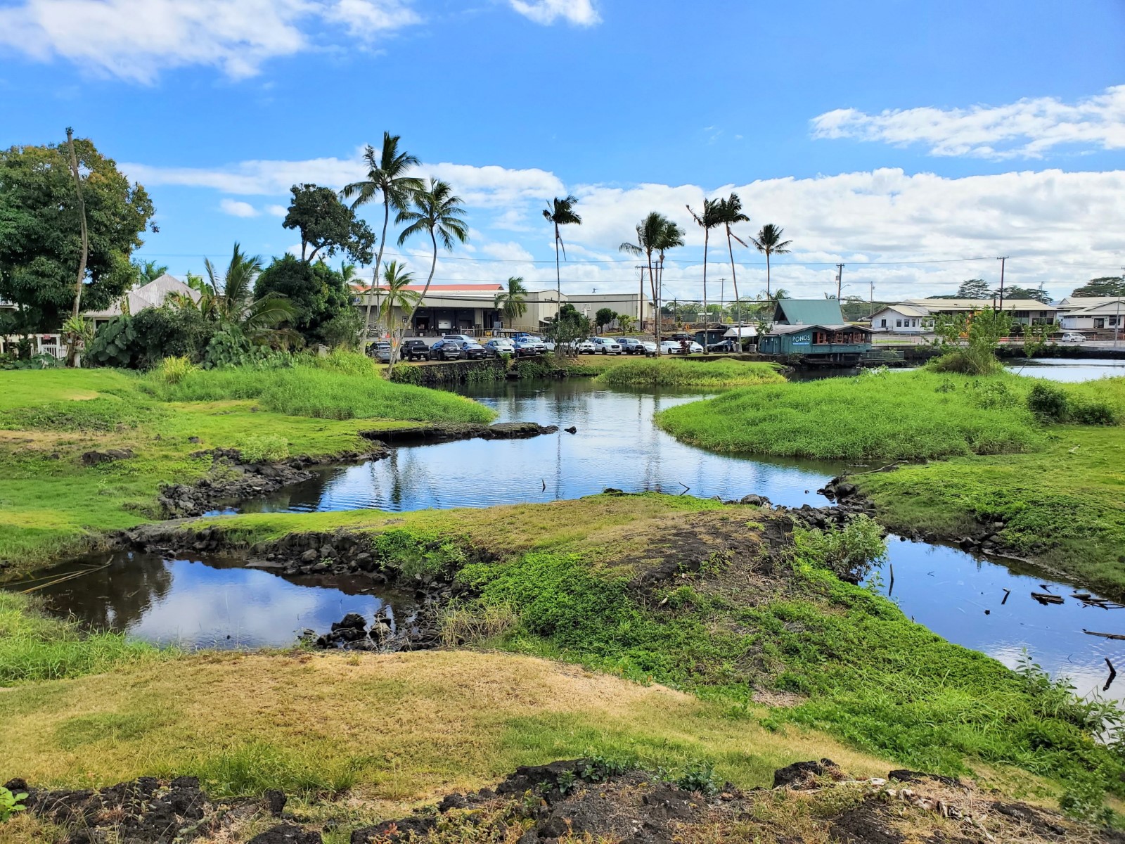 Kuhio Kalanianaole Park