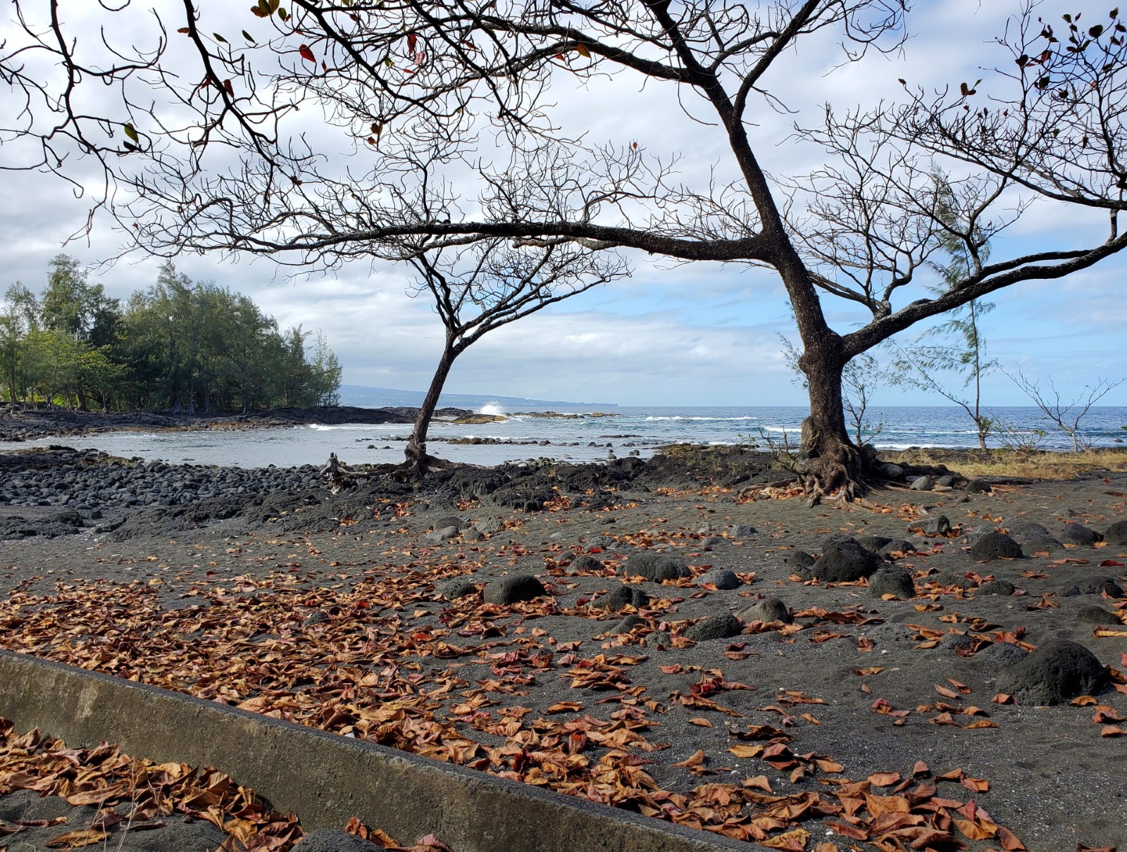 Lehia Beach Park