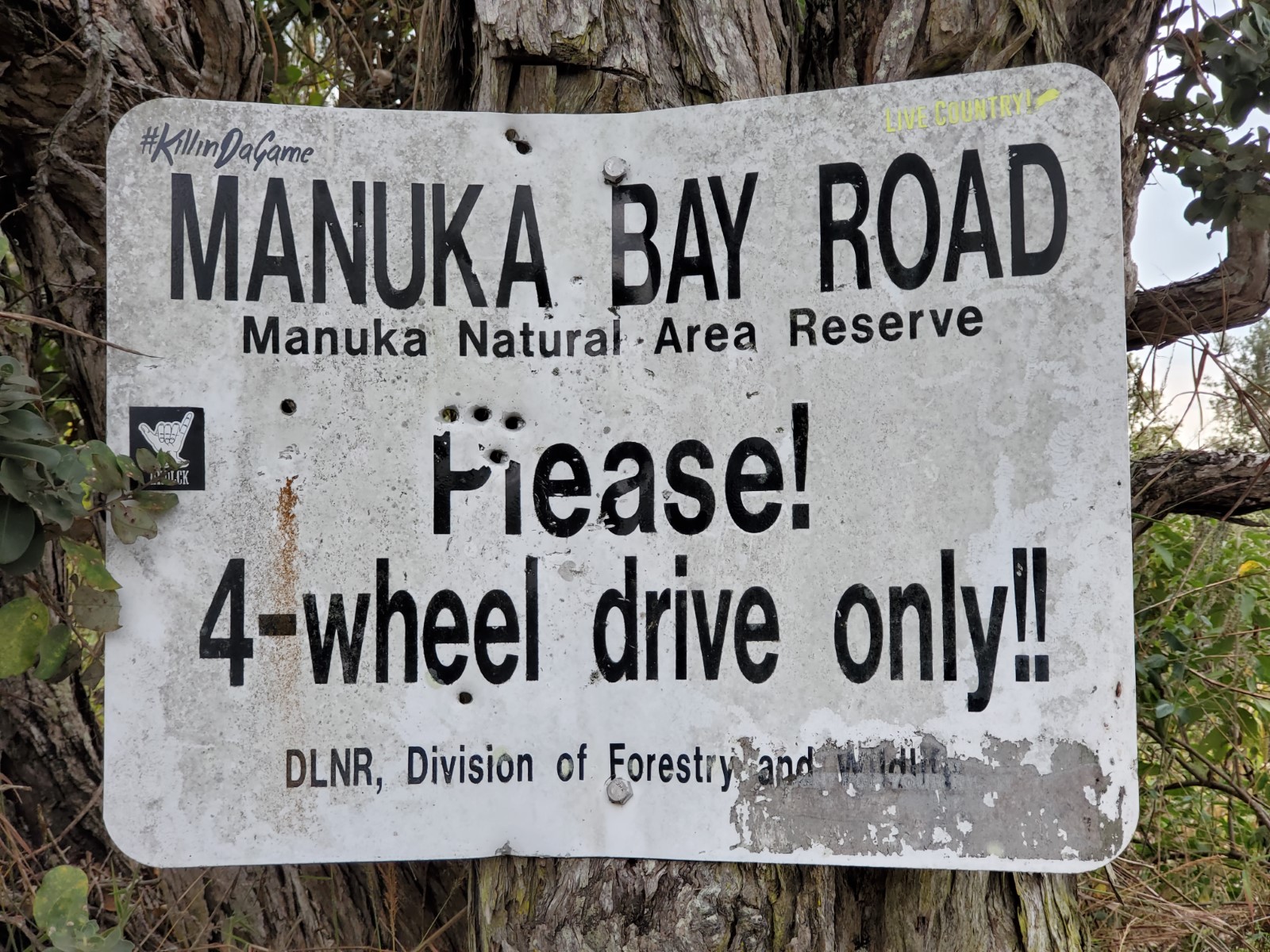 Manuka Bay Beach