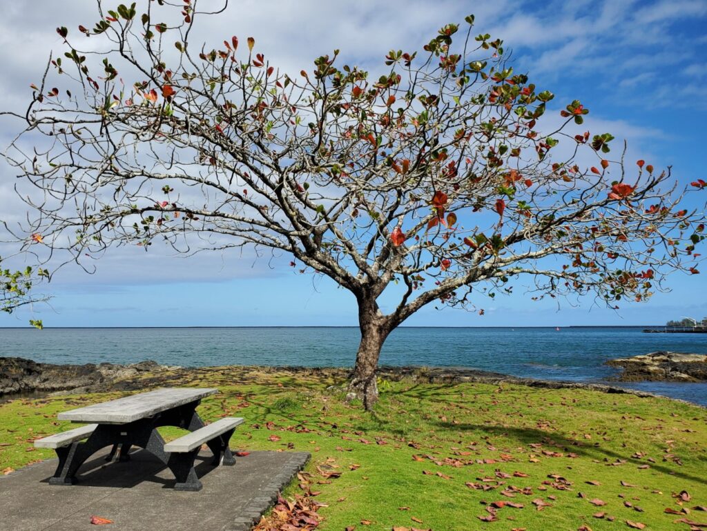 Coconut Island (Moku Ola)