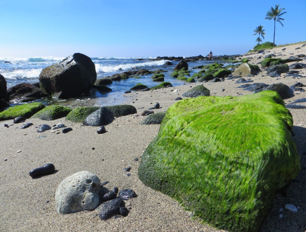 Old Kona Airport Beach Park