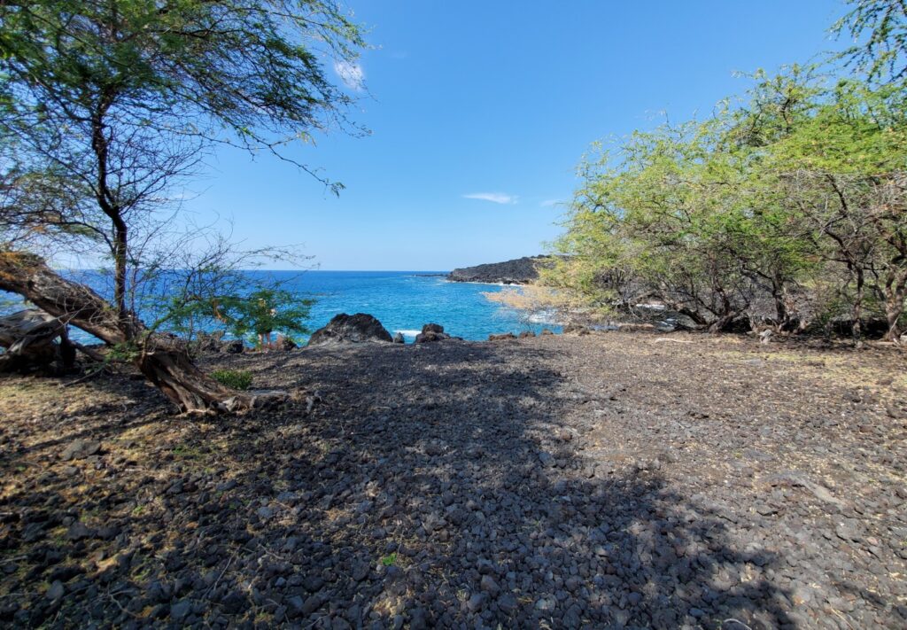 Papa Bay Shoreline Access