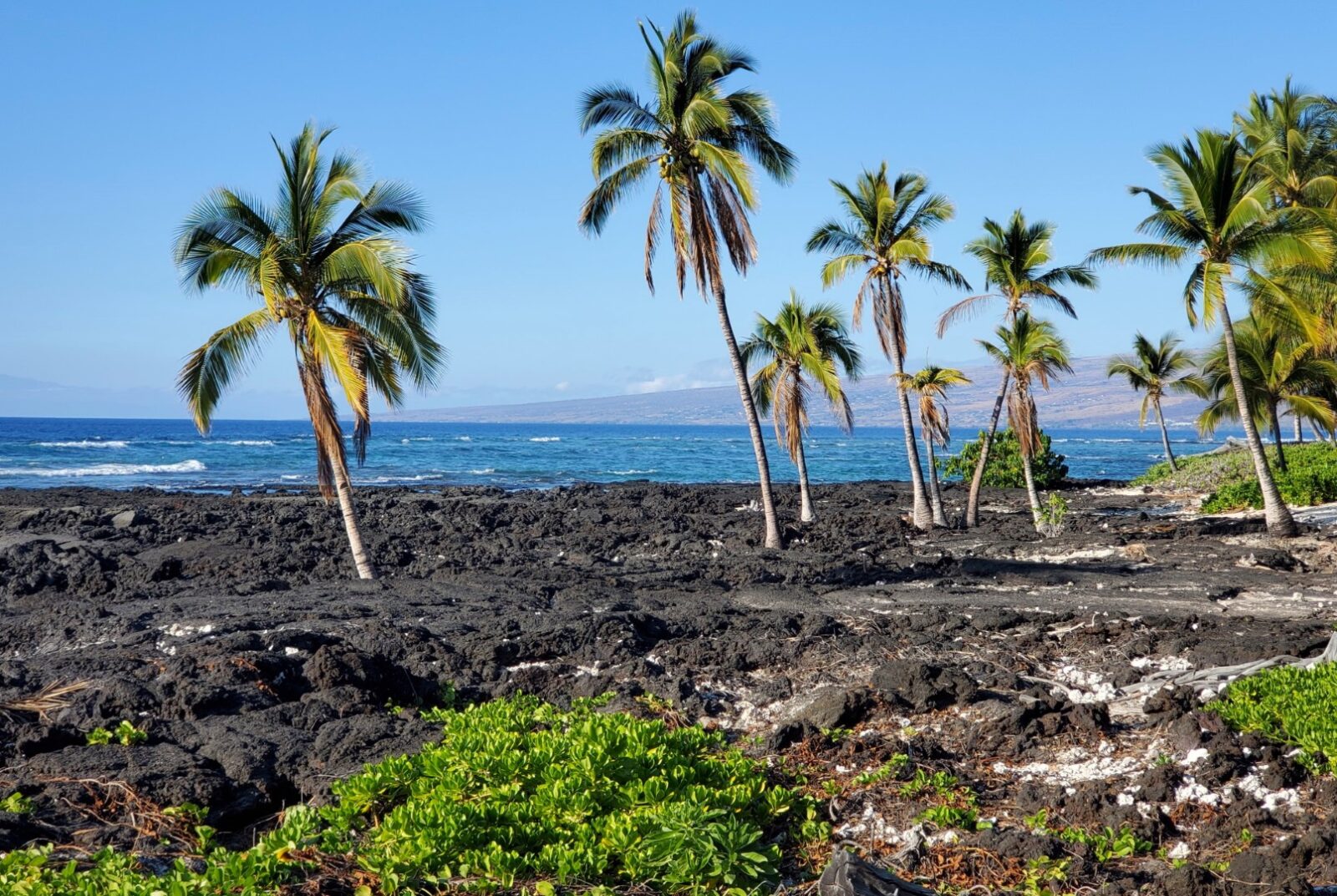 Puako Beach Park