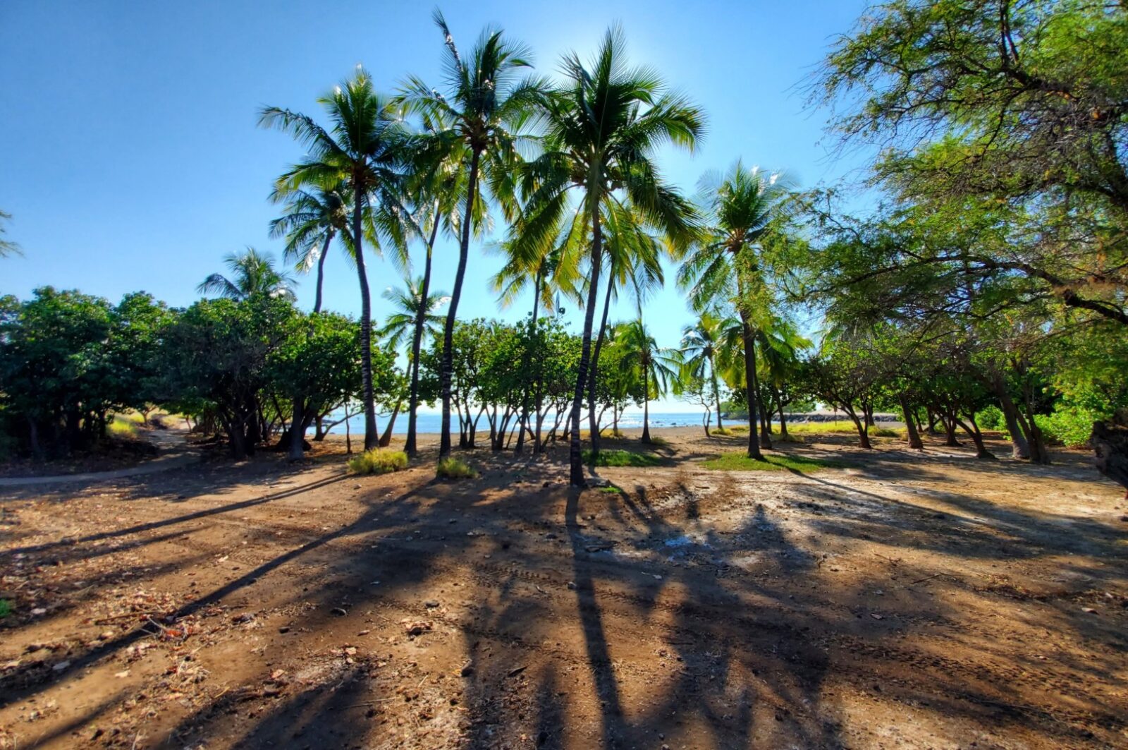 Puukohola Heiau National Historic Site