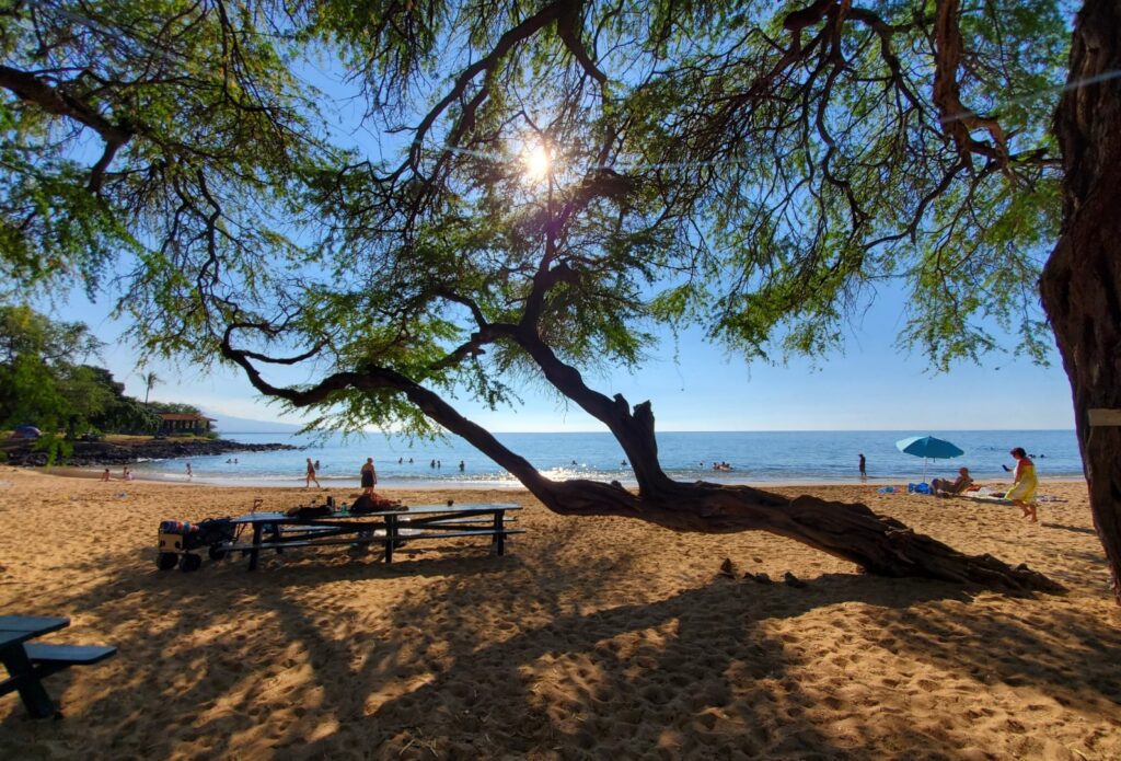 Spencer Beach Park (Ohaiula Beach)