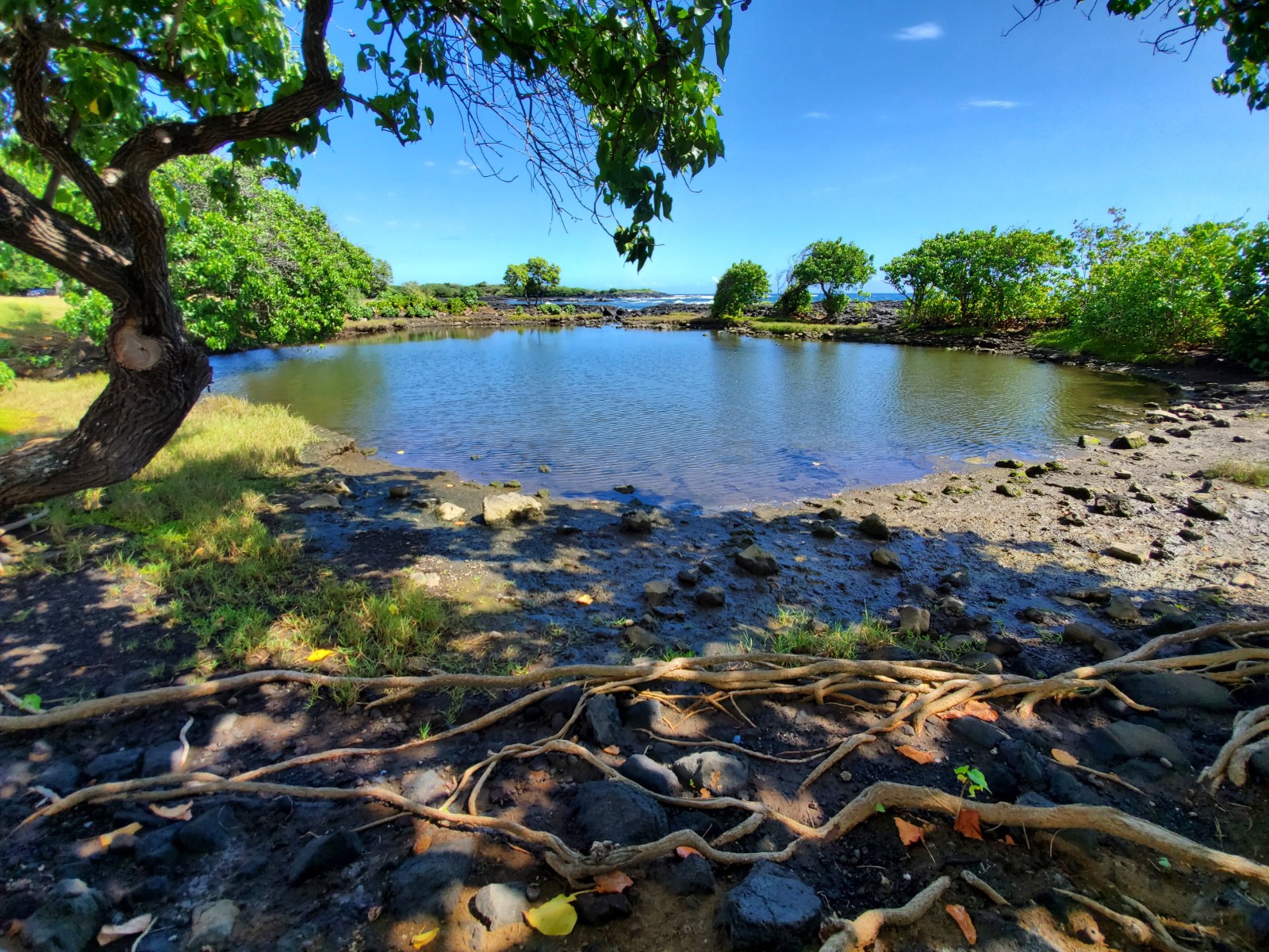 Whittington beach park