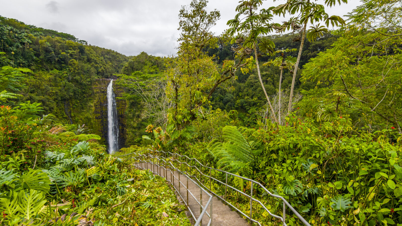 Akaka Falls State Park