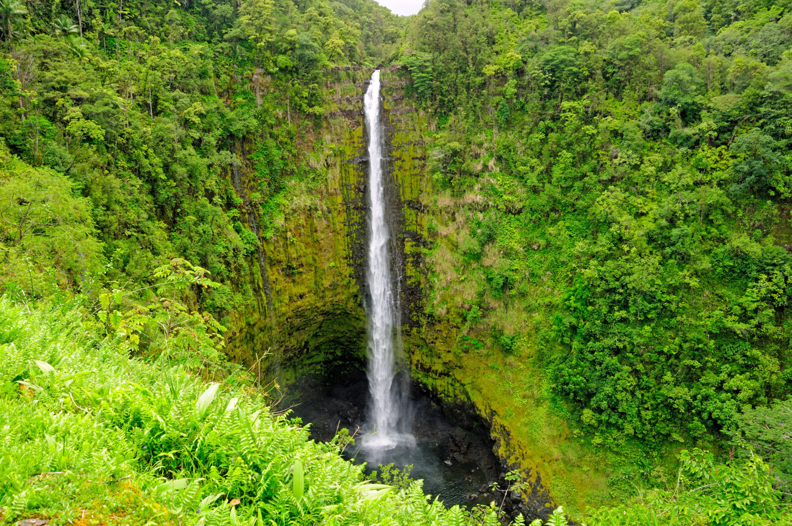 Akaka Falls State Park