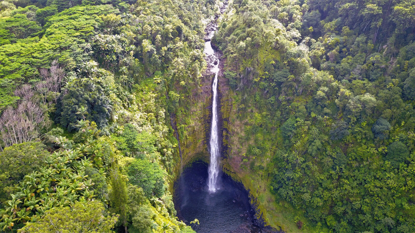 Akaka Falls State Park