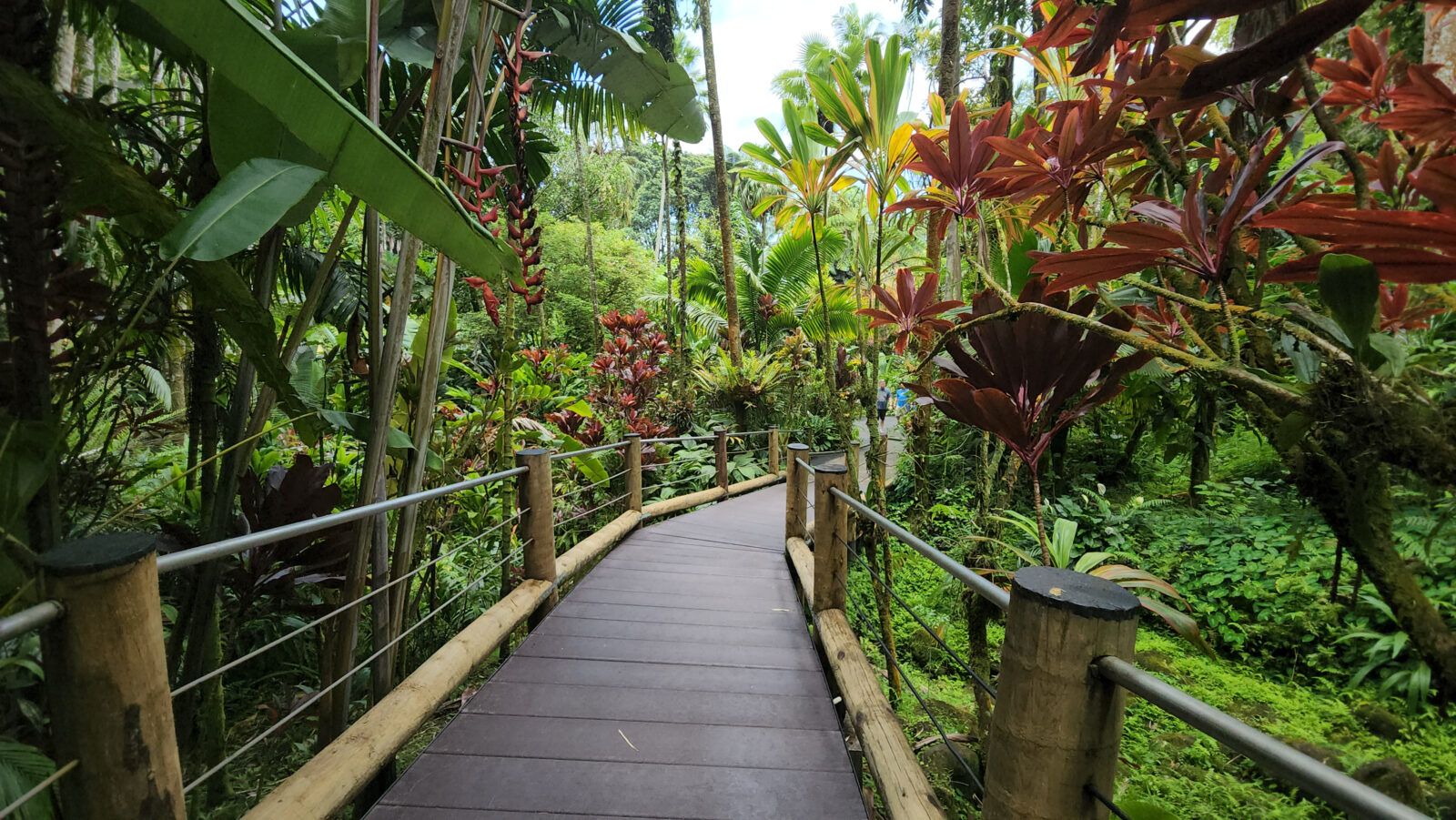 Hawai‘i Tropical Bioreserve & Garden