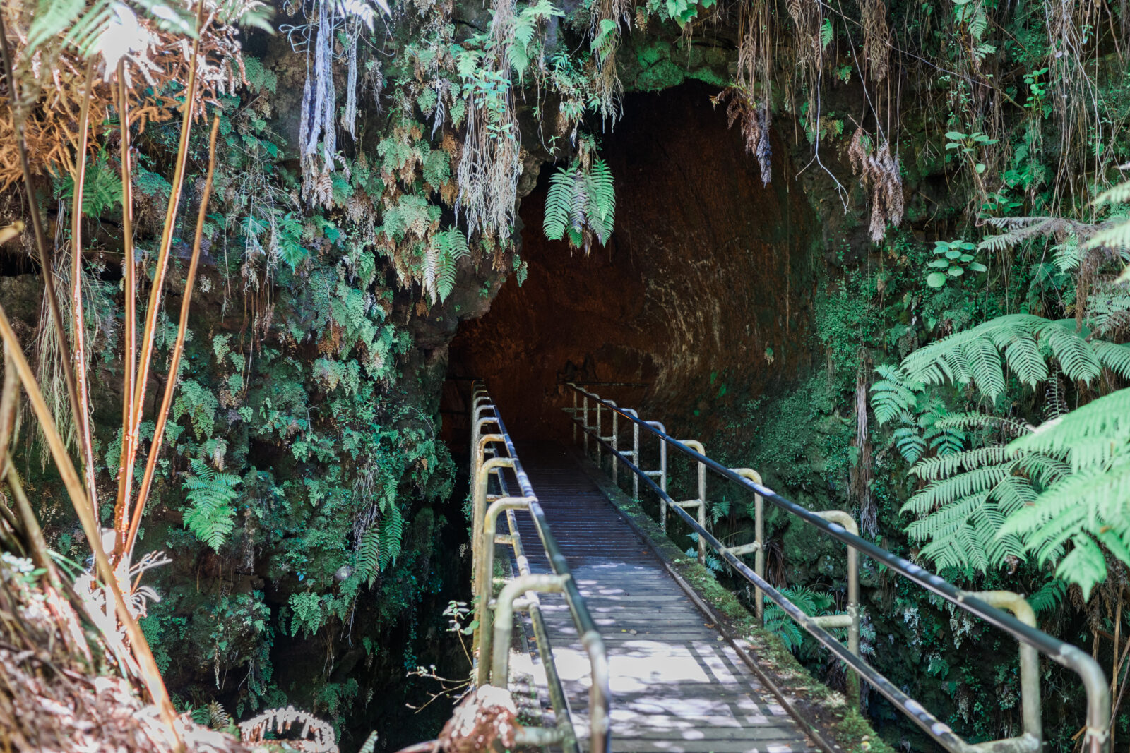 Hawaii Volcanoes National Park