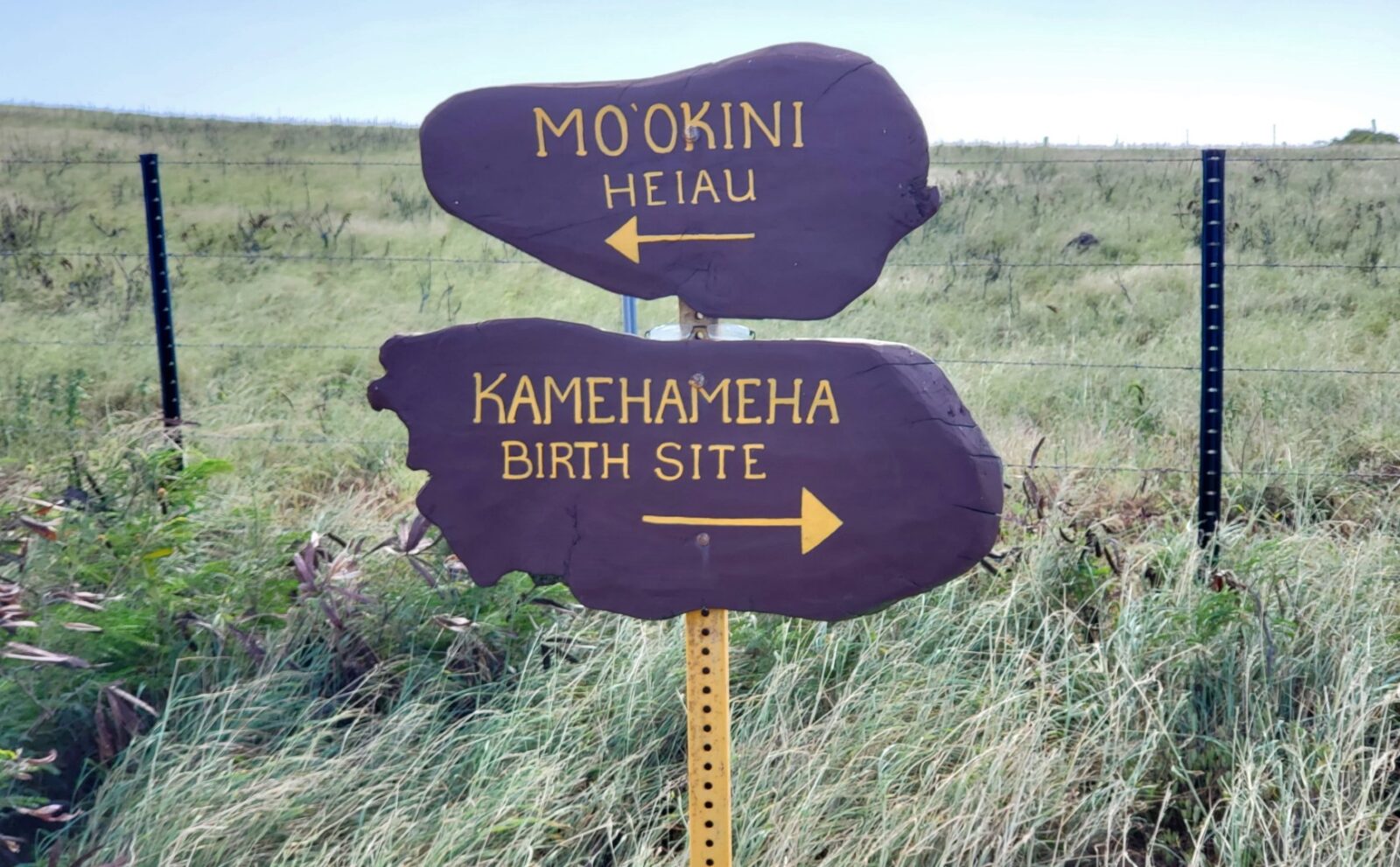 Kohala Historical Sites State Monument
