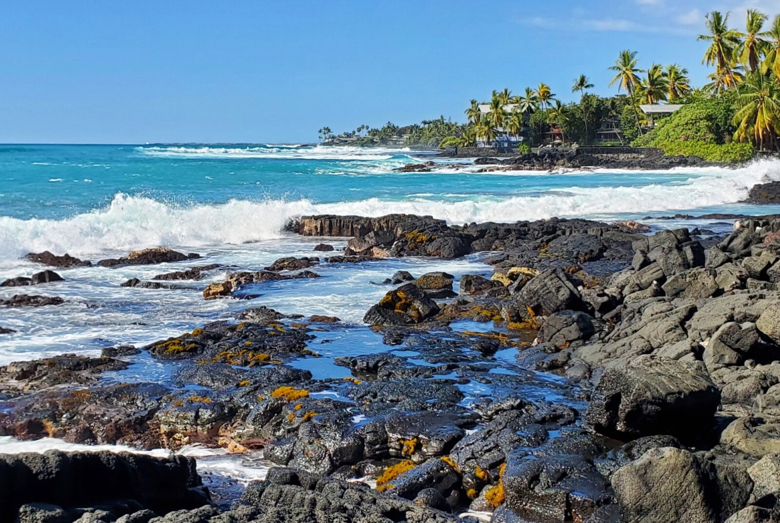 Lymans Surf Spot on Holualoa Bay