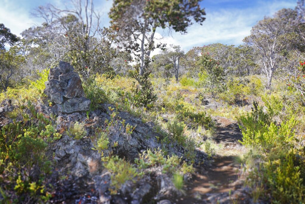 Āinapō Trail to Mauna Loa Summit