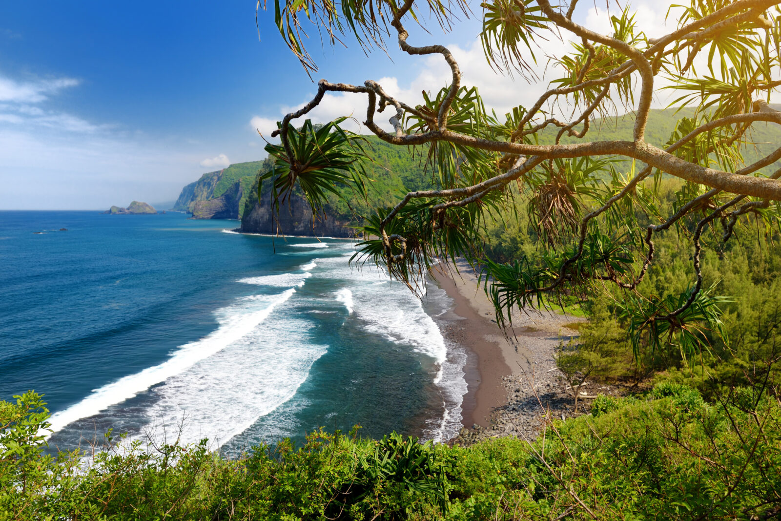 Pololu Valley Lookout