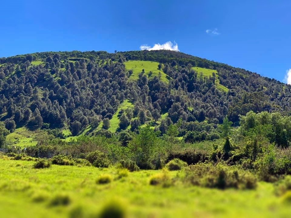 Pu’u Waawaa Hike (Jello Mold)