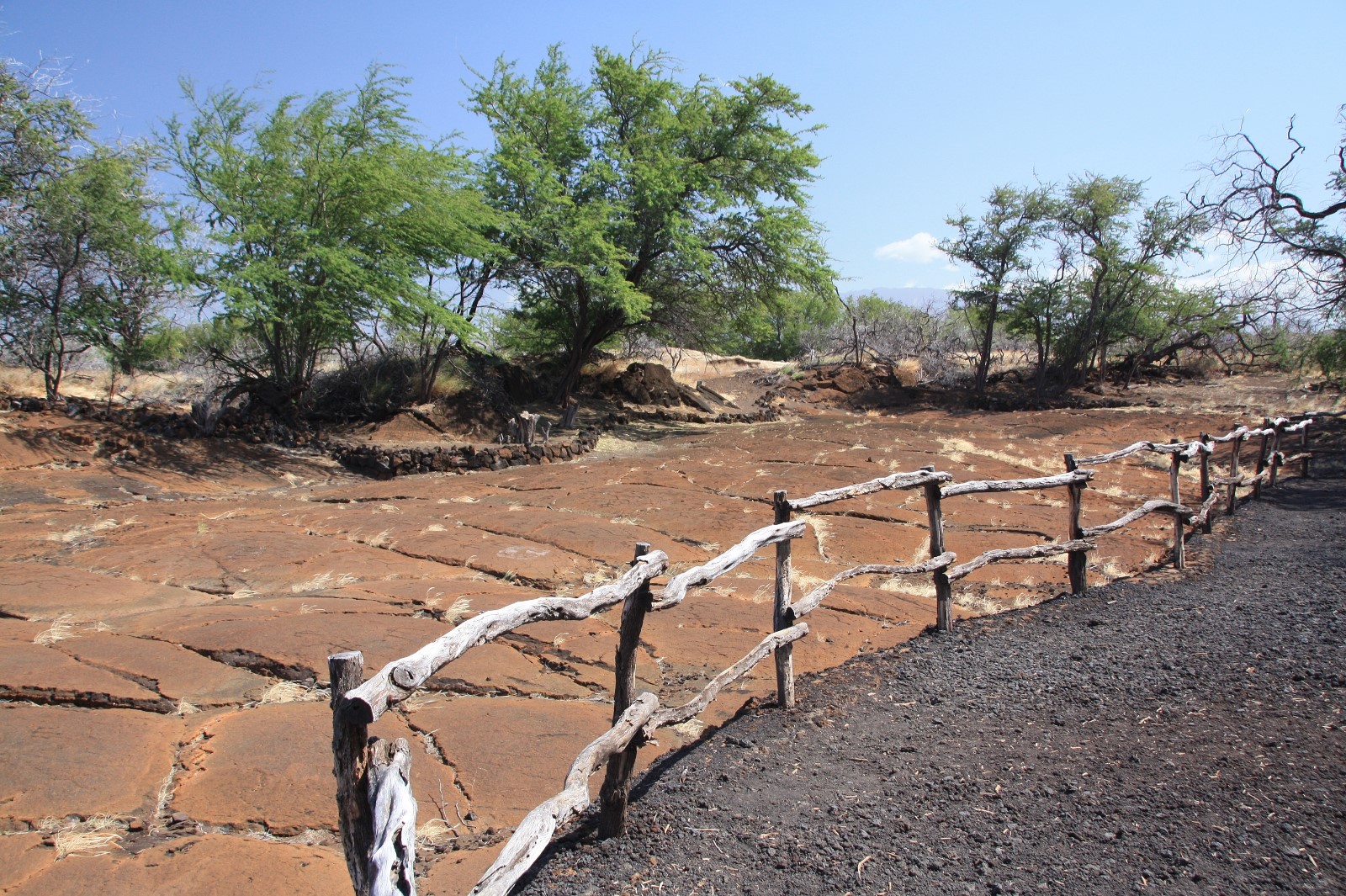 Puako Petroglyph Archaeological Park (Malama Trail)