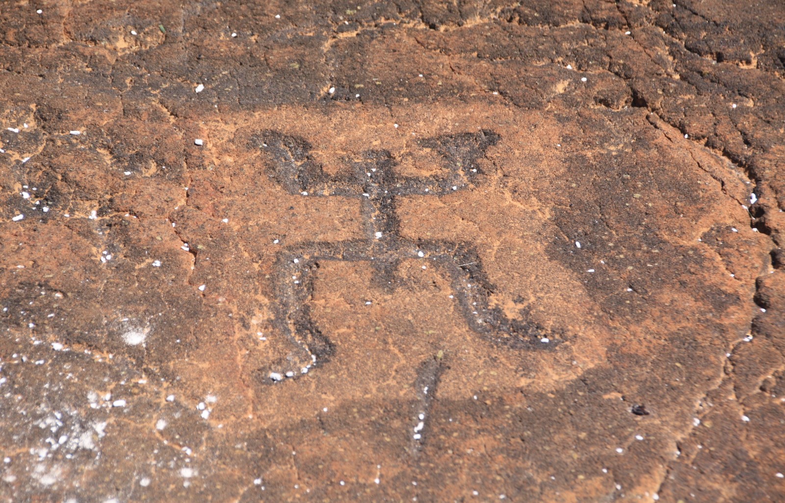 Puako Petroglyph Archaeological Park (Malama Trail)